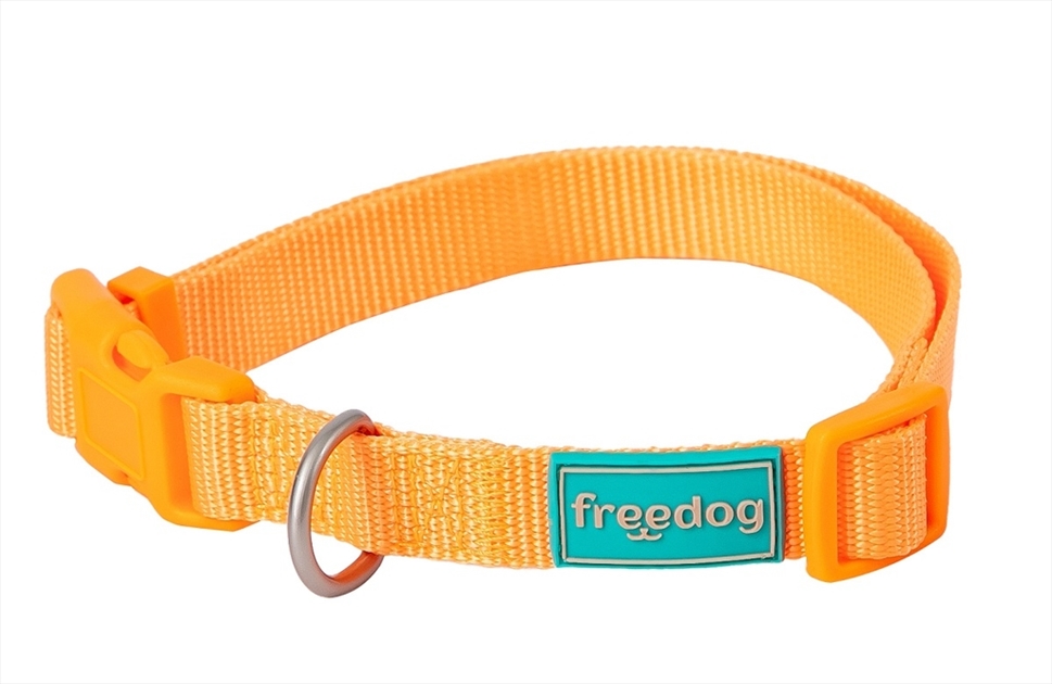 FR10802.jpg Basic Nylon Collar ORANGE XXS 0.8x10/20cm - Image 1