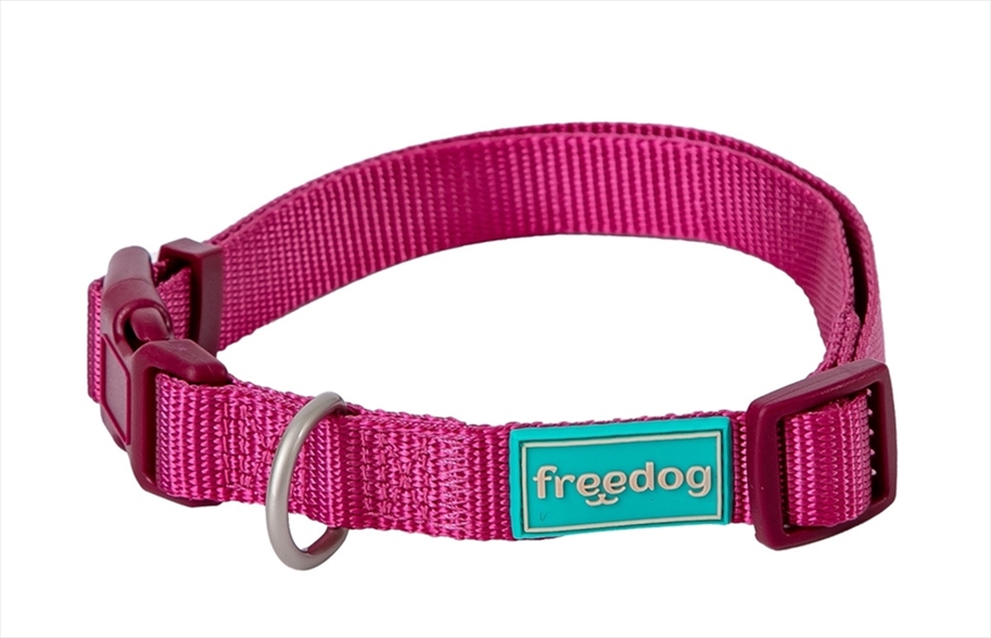 FR12506.jpg Basic Nylon Collar MAROON L 25mm38-66CM - Image 1