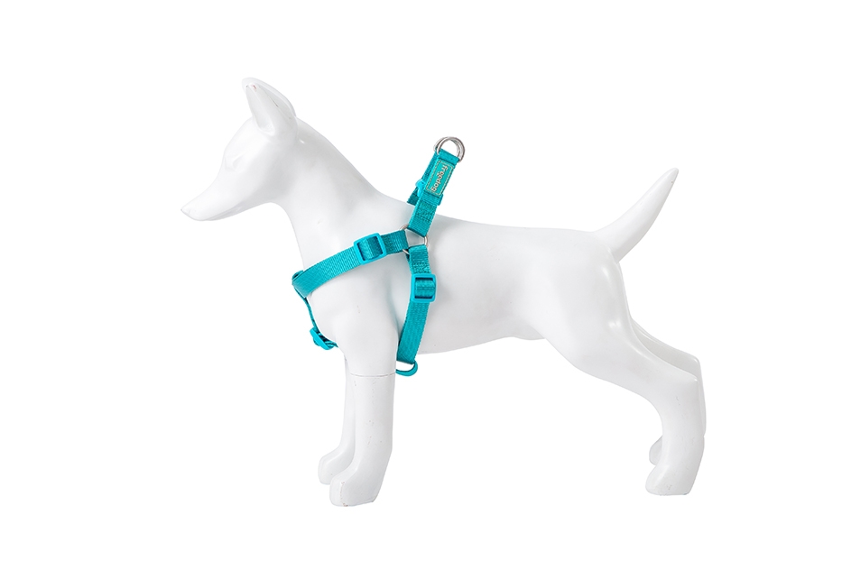 FR40815.jpg Basic Nylon A-type Harness TURQUOISE XXS 0.8x15/30cm - Image 1
