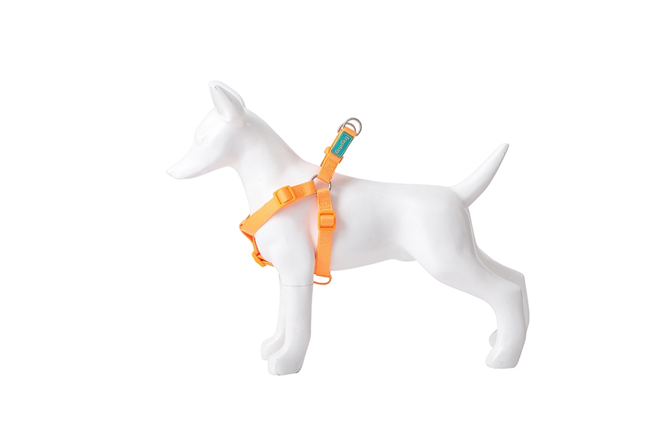 FR42002.jpg Basic Nylon A-type Harness ORANGE M 20mmx51-70cm - Image 1