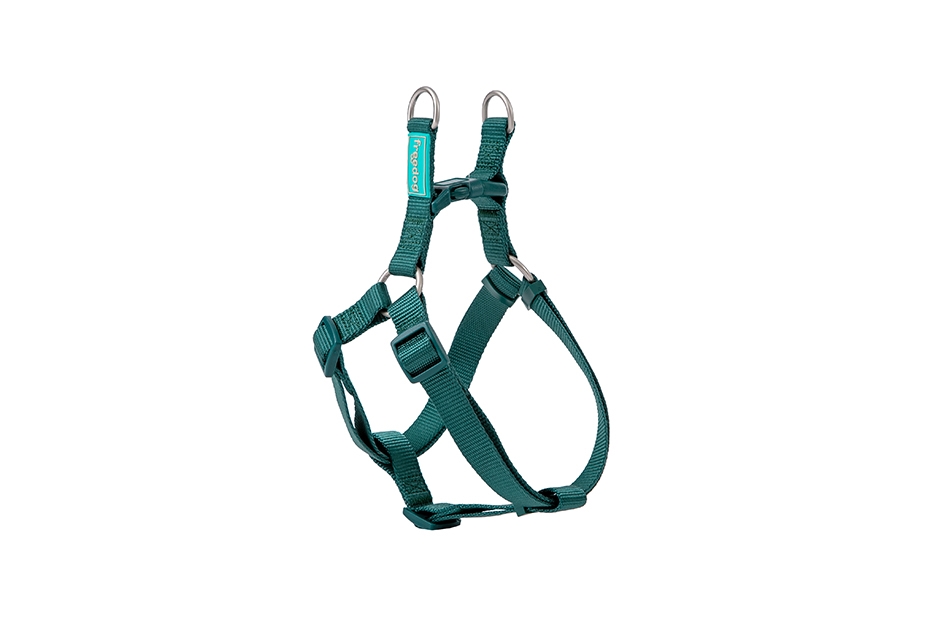 FR42505.jpg Basic Nylon A-type Harness GREEN L 25mmx70-90cm - Image 1