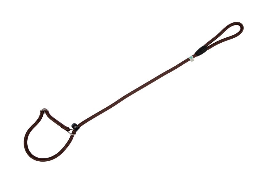 FR530805.jpg Nylon Round Collar-Leash Brown 8x120cm - Image 1