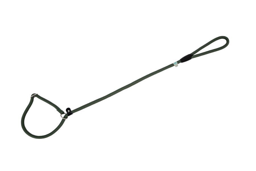 FR531305.jpg Nylon Round Collar-Leash Green 13x120cm - Image 1