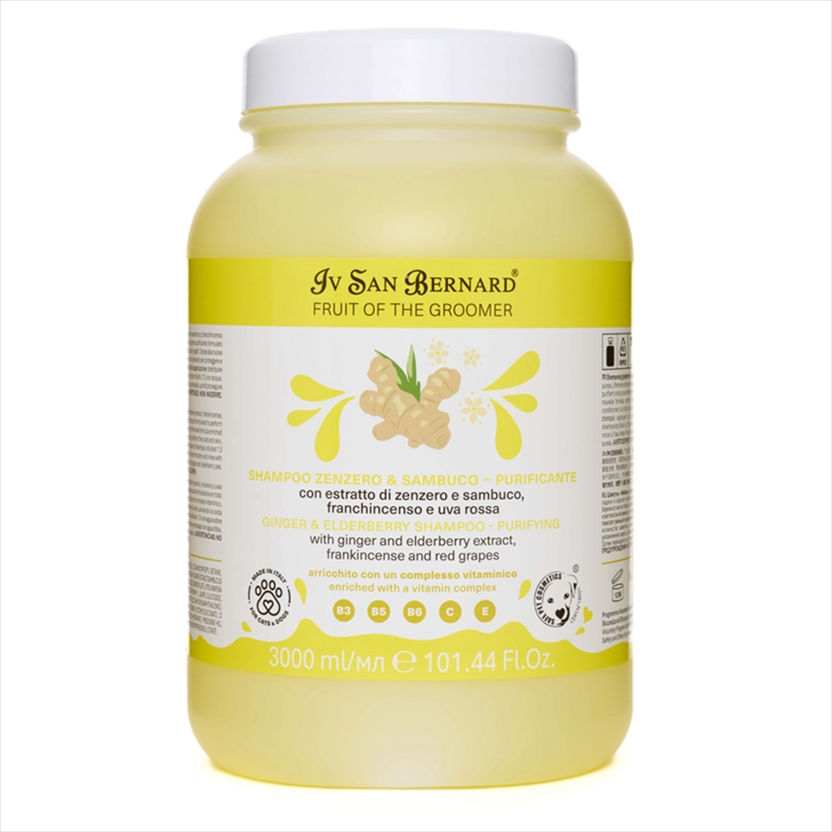 FRUSHAZEN3000.jpg FRUTTA NEW SHAMPOO Ginger Elderberry 3000ml - Image 1