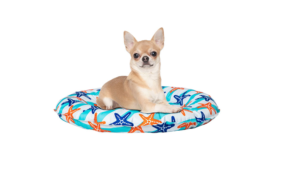FR80500.jpg ECO-Donut Refrescante STARFISH 71cm L100 Recycled - Image 1